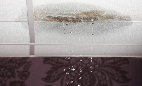 Plumber Safety Beach